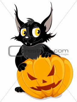 Black bat and Halloween pumpkin