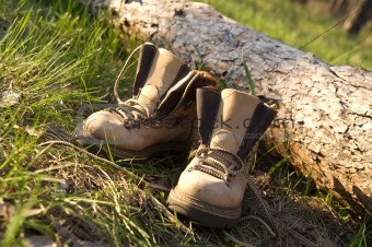 Pair of trekking boots in forest