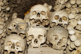 Six Human Skulls