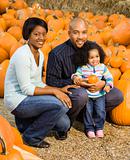Family picking pumpkin.