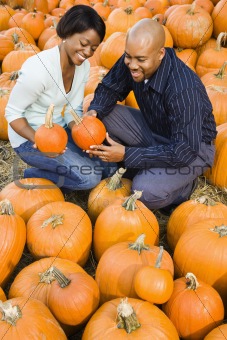 Couple picking pumpkin.