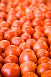 Tomatoes at produce market.