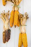 Fall corn decorations.