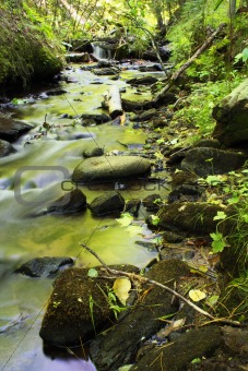 green creek in spring
