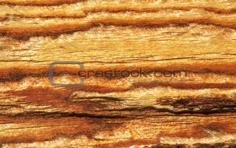 colorful wood texture
