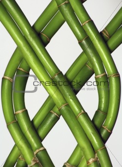 Braided Bamboo