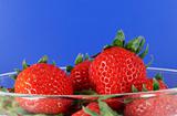 Bowl of organic strawberries