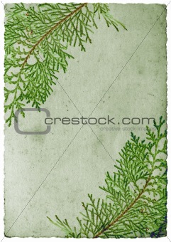 Christmas leaf border