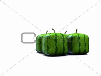 some square melons