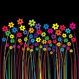 Colored flowers over black background