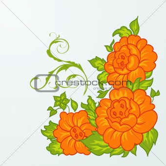cute orange flowers isolated