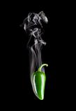 Smoking Hot Green Jalapeno Pepper (Capsicum Annuum)