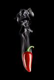 Smoking Hot Red Jalapeno Pepper (Capsicum Annuum)