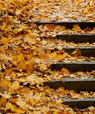 Stairs in Autumn