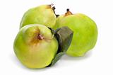 quince fruits