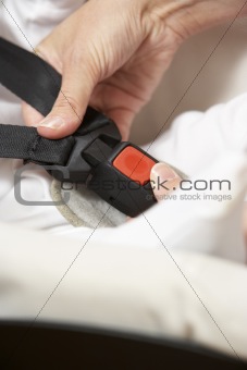 Mother Fastening Safety Clip On Baby Seat