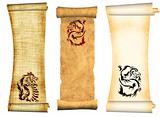 Dragons. Scrolls of old parchments