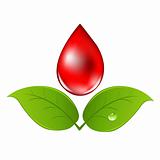 Blood Drop With Leafs