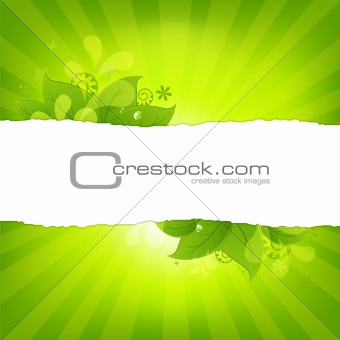 Natural Background With Leaves And Sunburst