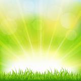 Green Background With Green Grass And Sunburst