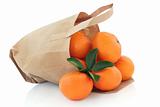 Mandarin Oranges in a Bag