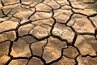 Cracked lifeless soil