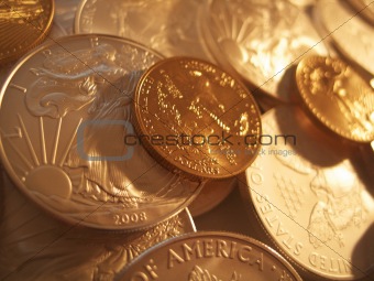 Gold and Silver U.S. Bullion Coins