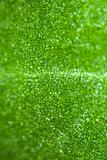 Green Leaf Under Microscope