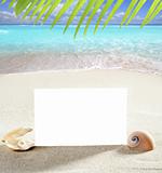 beach vacation sand pearl shells snail blank paper