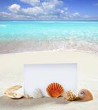 beach vacation sand pearl shells snail blank paper