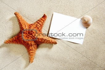 blank paper beach sand starfish shells summer