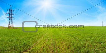 Spring field morning panorama with blue sky and sunshine