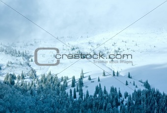 winter overcast mountain landscape