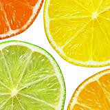 Lime, grapefruit, orange and lime slices isolated on white