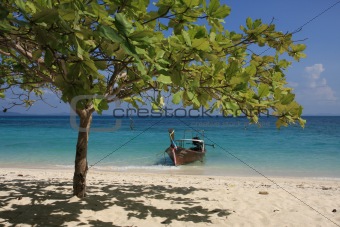 Longtail boat and beach tree at Bamboo Island