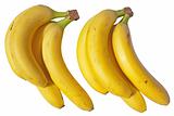 Two bunches of bananas isolated on a white background.