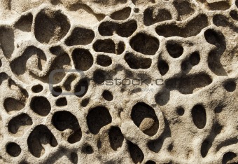 Rock erosion holes in the sea wall, Western-Super-Mare. 