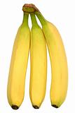 Three bananas, isolated on a white background.