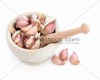Garlic Herb Cloves
