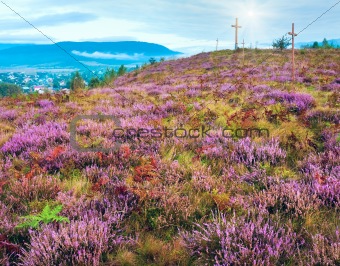 Summer heather flower hill and misty morning country view behind