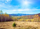Autumn country landscape (Carpathian, Ukraine).