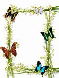 Colorful Summer Frame With Butterflies