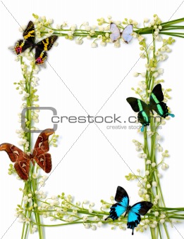 Colorful Summer Frame With Butterflies