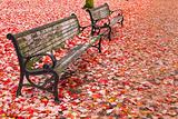 Park Benches in the Fall