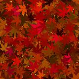 Fall Maple Leaves Seamless Background