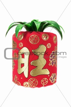 Chinese New Year Decoration 