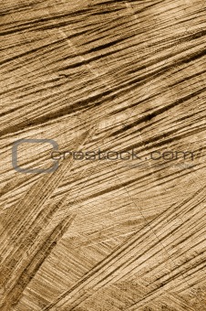 Detail of wooden cut texture - rings and saw cuts - oak - background