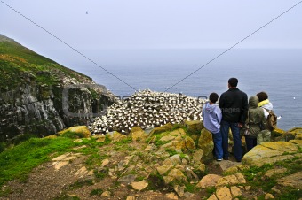 Family visiting Cape St. Mary's Ecological Bird Sanctuary in Newfoundland