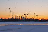 Winter sunrise in St. Petersburg