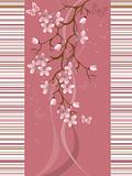 sakura  blossom, vector illustration